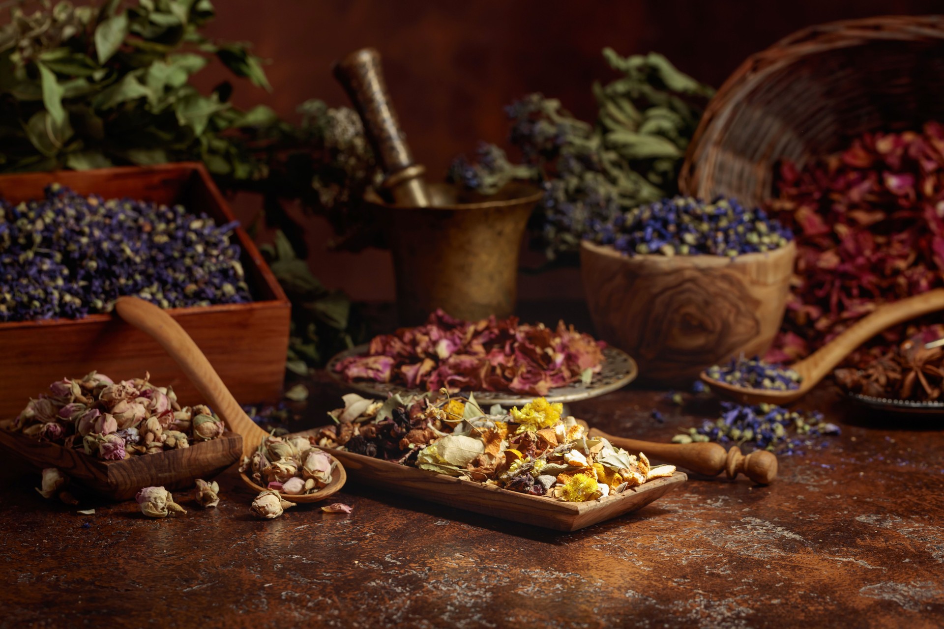 Various dried medicinal plants on a brown background.