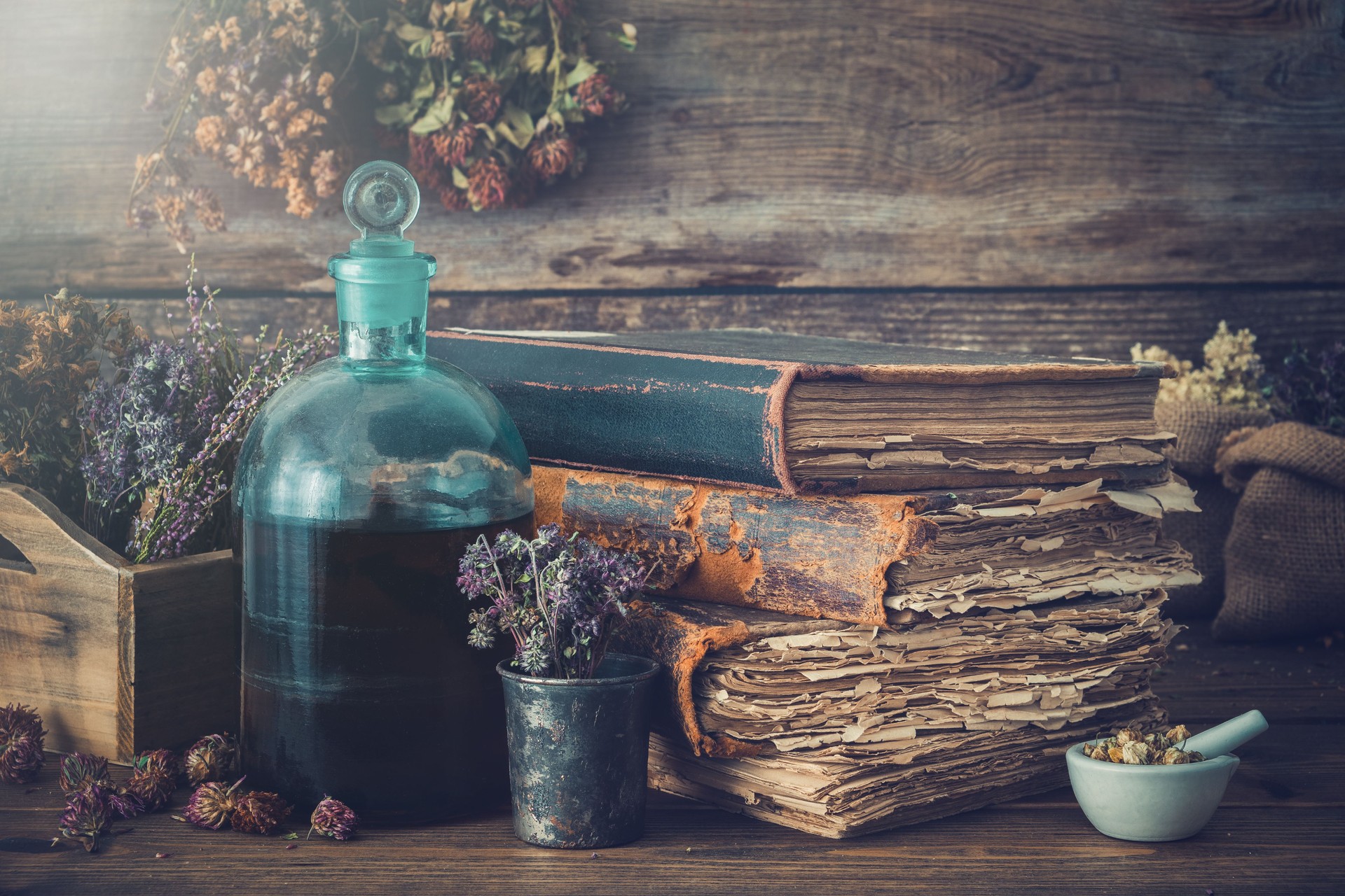 Tincture bottles, assortment of dry healthy herbs, old books, mortar, curative drugs. Herbal medicine. Retro styled.